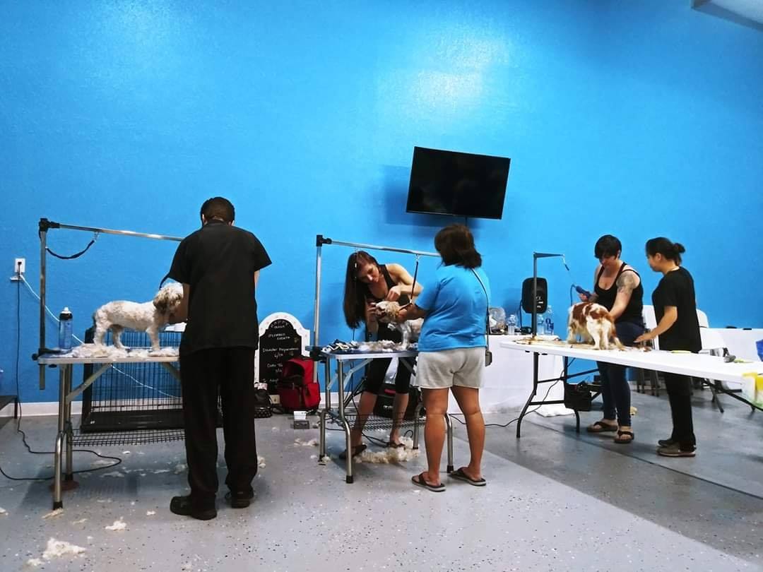 Grooming Clinics Happy Trails Animal Rescue